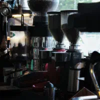 همکار در کافی شاپ