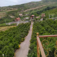 باغ ویلا