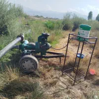 مارگو4اینج قوی