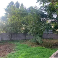 زمین-مسکونی-297-متری-با-سند-تک-برگ