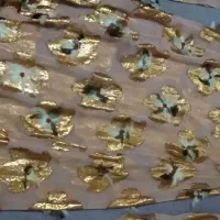 لباس کوردی نونو
