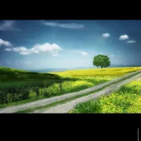 زمین-اقتصادی-همراه-با-آب