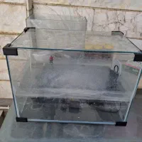 فروش آکواریوم