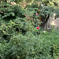 خانه-ویلایی-دروازه-آستاره