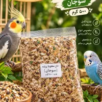 دان پرنده مخصوص طوطی سانان