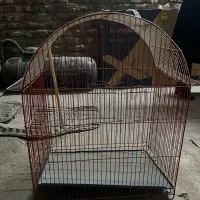 قفس پرنده