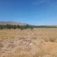 زمین فروشی ساردوئیه بهترین منطقه آب هوایی
