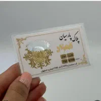 سکه پارسیان