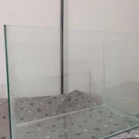 آکواریوم نو