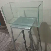 آکواریوم|ماهی|تهران, مینابی|دیوار