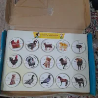بازی فکری