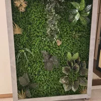 دیوار سبز. چمن مصنوعی