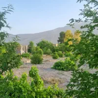 فروش-باغ-شهری