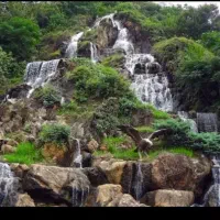 لوکیشن-برند-تکواحدی-لوکس