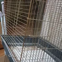 قفس پرنده