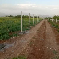 فنس کشی وباعبانی