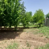 زمین-8000-متری-باغشهرهماشهر-سربست-دالین