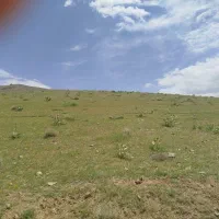 فروش-مزرعه