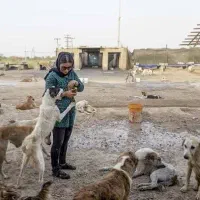 ضایعات گوشت مخصوص حیوانات