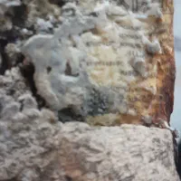 سنگ مشکوک ب شهاب سنگ