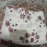 فقط فقط 650