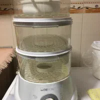 بخار پز برقی