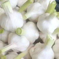 استخدام