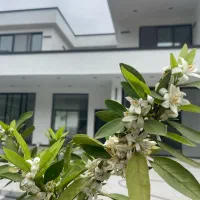 سرایدار متاهل و متعهد شهر آستارا روستای بیجاربین