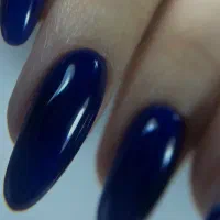 ناخنکار منظریه ،