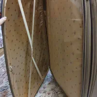 چمدان|کیف، کفش، کمربند|همدان, |دیوار