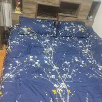 تخت دونفره همراه تشک و کمد واینه قیمت 17میلیون