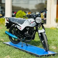 باکسر لاکی 185