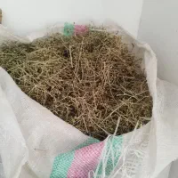 سیم اوتی دمنوش