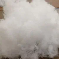 پنبه (الیاف)