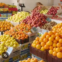 میوه فروشی کجا بزنم