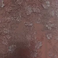 دون مجلسی