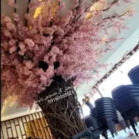 درختچه