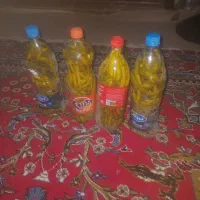 فلفل قلمی ترشی تندروانه ی ۹۰تومن