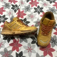 zx اند 8000