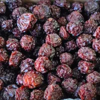 دودی|خوردنی و آشامیدنی|دزفول, |دیوار