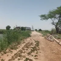 ۶۶ هکتار مزرعه جاده قدیم خرمشهر اهواز