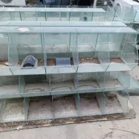 اخوری شیشه