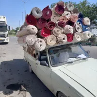 راننده قالیشویی