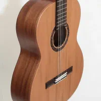 گیتار سفارشی و تمام چوب دست ساز