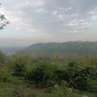 زمین کشاورزی