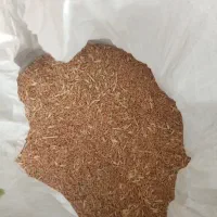 گندم