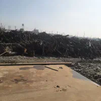 دپو دپو چوب باغی هیزمی