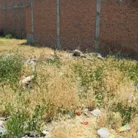 زمین مسکونی