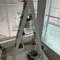 استند گل
