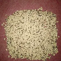 لوبیا چشم بلبلی تمیز و بوجاری شده